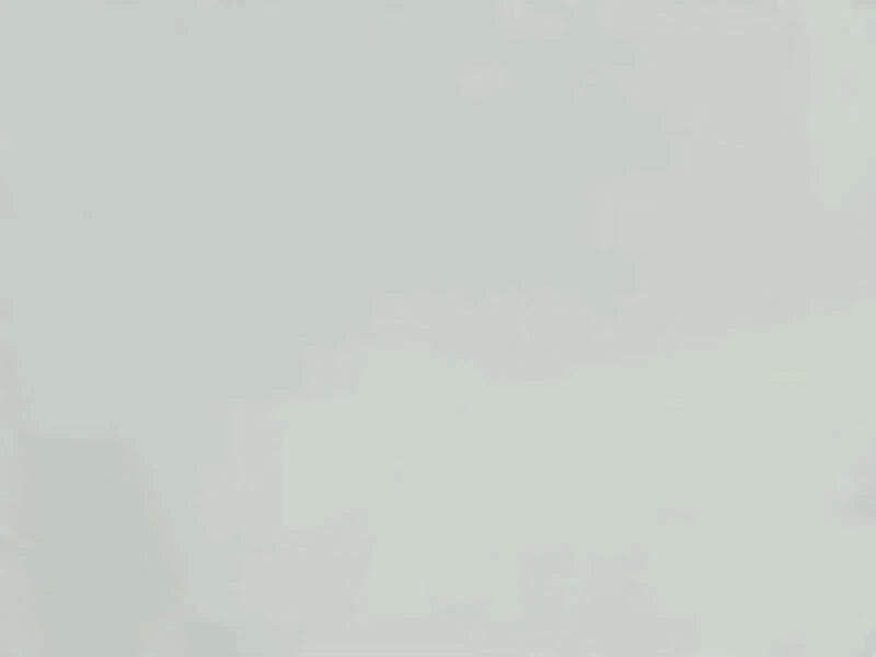 Solid light gray color swatch