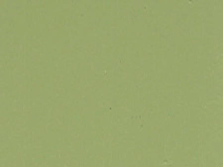 Solid light green color swatch