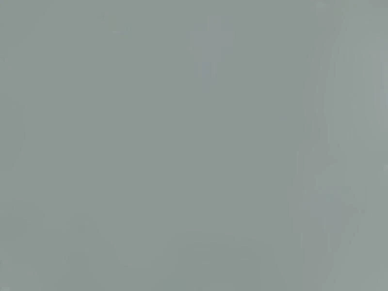 Solid light gray color swatch