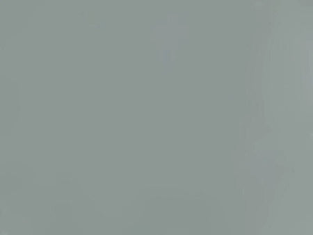 Solid light gray color swatch