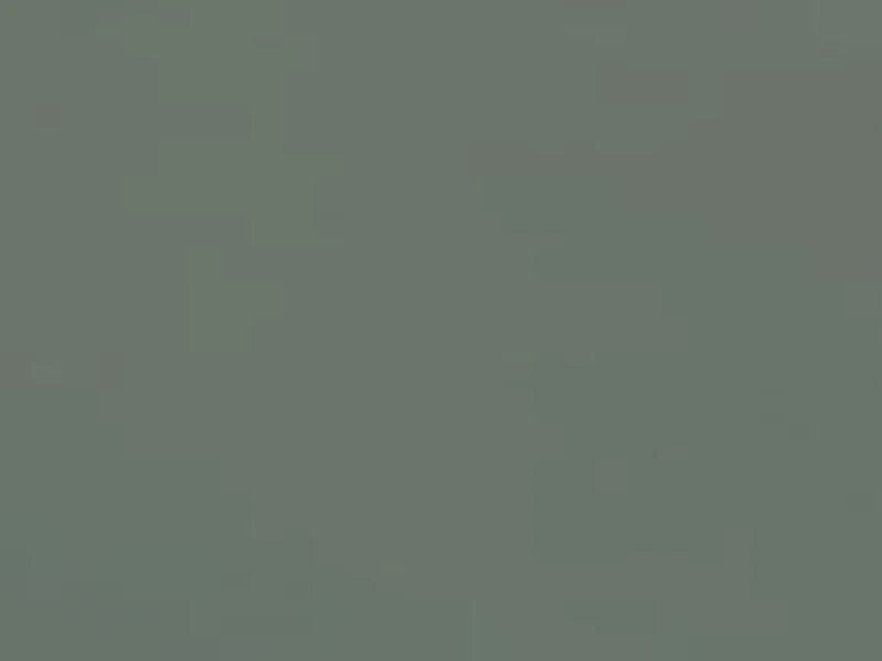 Solid dark gray color swatch