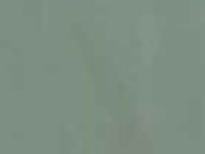 Solid light green color swatch