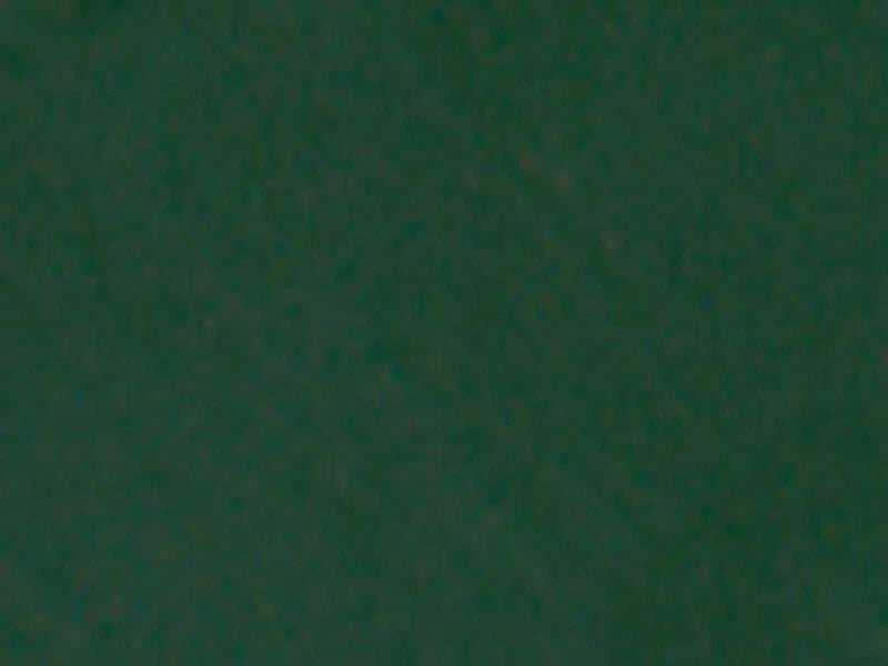 Solid dark green color swatch