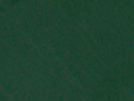 Solid dark green color swatch