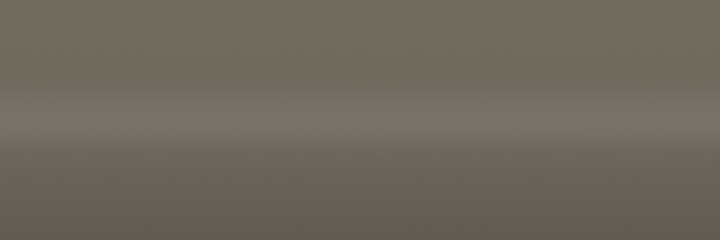 Buick Stone Beige Metallic 50 color swatch