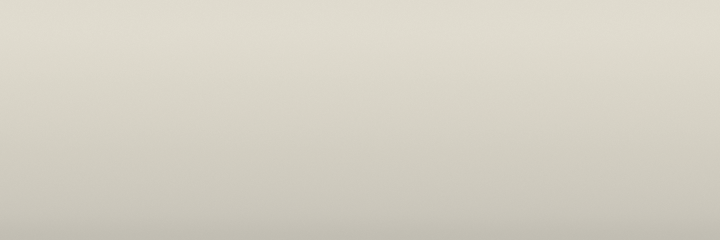 Dodge Stone White PW5 color swatch