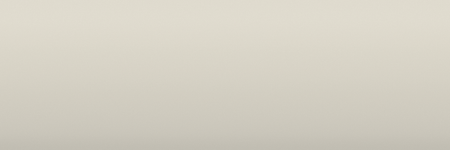Dodge Stone White PW5 color swatch