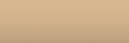 AMC Jamaican Beige 2J color swatch