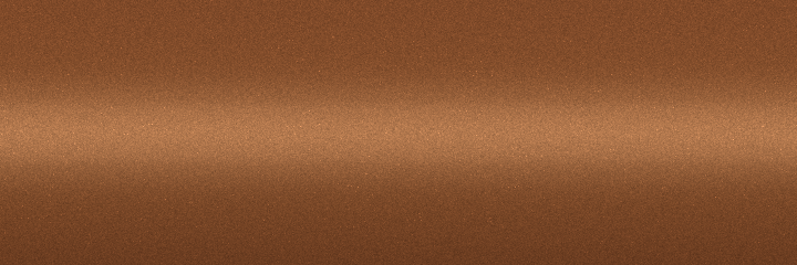 Nissan Caramel Brown Metallic CT0 color swatch