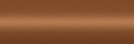 Nissan Caramel Brown Metallic CT0 color swatch