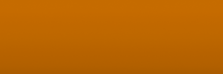 BMW Ambra F13 color swatch