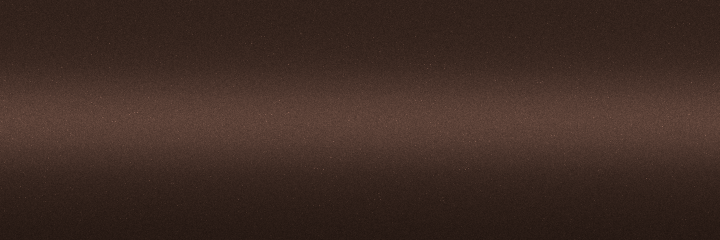 Toyota Brown Metallic 4H2 color swatch