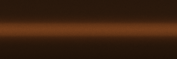 BMW Chestnut Bronze Metallic C29 color swatch