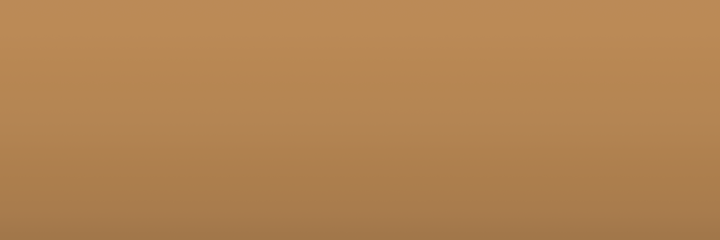 Ford Medium Pewter Gray Metallic TT color swatch