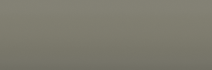 Mercedes-Benz Steingrau Hell 169 color swatch