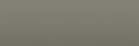 Mercedes-Benz Steingrau Hell 169 color swatch
