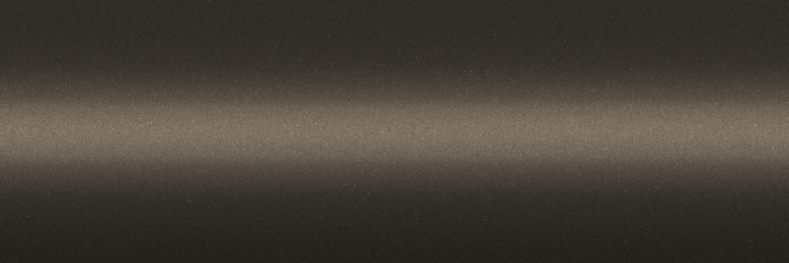Toyota Quartz Brown Metallic 4W0 color swatch