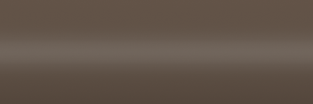 Ford Light Gray TM color swatch