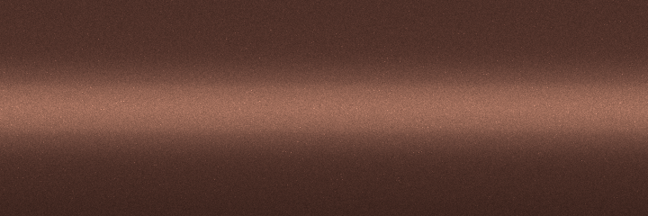 Volkswagen Namibia Bronze Metallic E2K color swatch