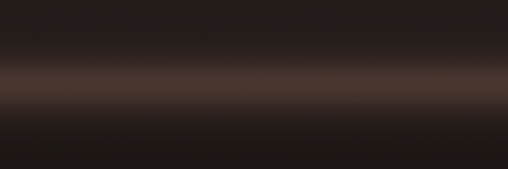 Toyota Dark Brown Pearl 4L4 color swatch
