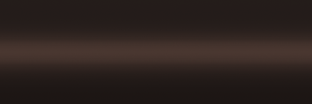 Toyota Dark Brown Pearl 4L4 color swatch