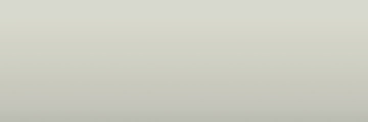 Nissan Beige Metallic 101 color swatch