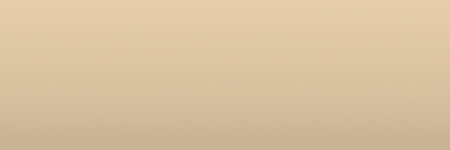 Nissan Silica Gold Metallic EY2 color swatch