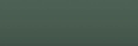 Volvo Green 91491 color swatch