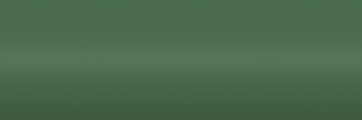 Triumph Pagent Blue 224 color swatch
