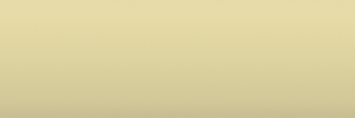 Mercedes-Benz Kaschmirelfenbein 1602 color swatch