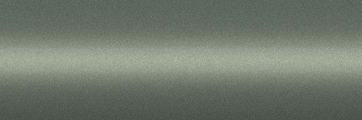 Smart Cool Silver Metallic 261 color swatch