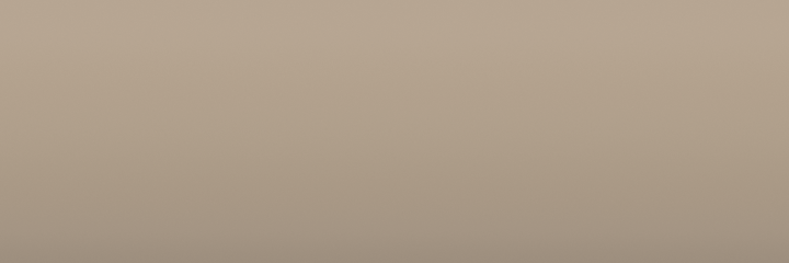 Toyota Beige 4L2 color swatch