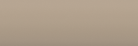 Toyota Beige 4L2 color swatch