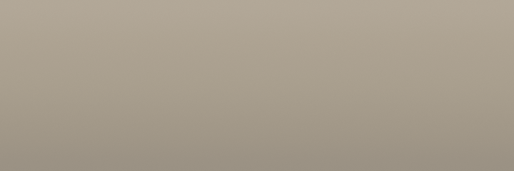 Toyota Silver Metallic 128 color swatch