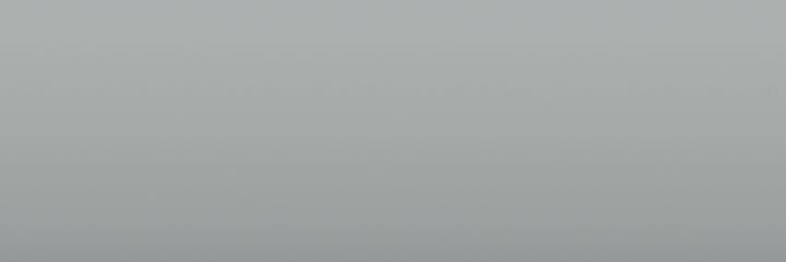 Ford Light Grey M6529D color swatch
