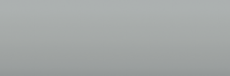 Ford Light Grey M6529D color swatch