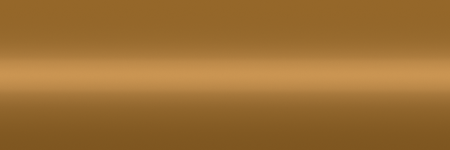 Ford Light Chestnut Metallic 5Z color swatch