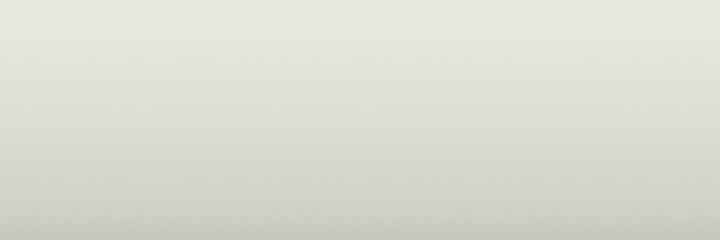 Aston Martin Silver Birch Metallic 1180 color swatch