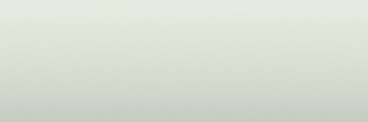 Honda Olympia White NH509 color swatch