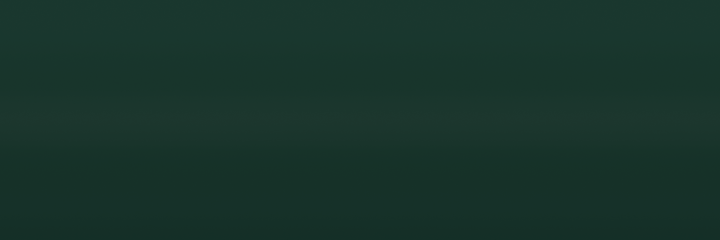 Ford Medium Adobe 6440 color swatch