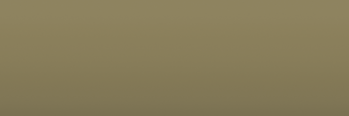 Suzuki Willow Green 1GY color swatch