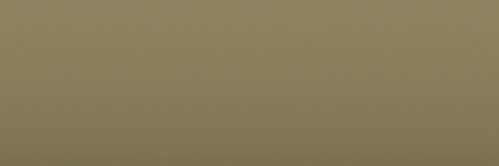 Suzuki Willow Green 1GY color swatch