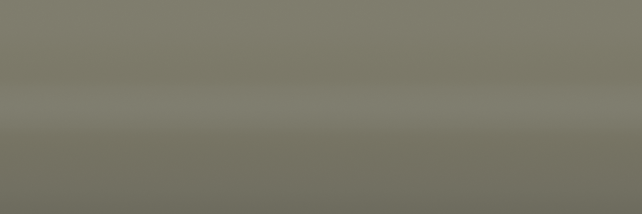 Pontiac Silverleaf Metallic 664H color swatch
