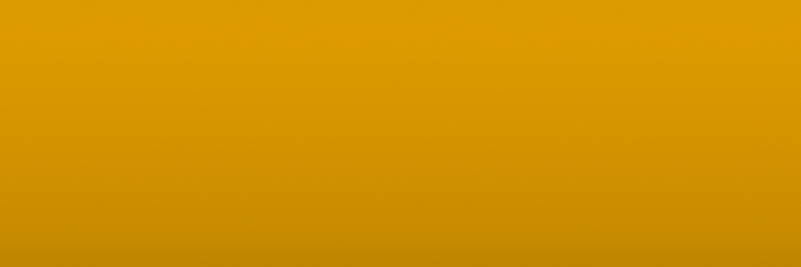 Volkswagen Bambusgelb N1D color swatch