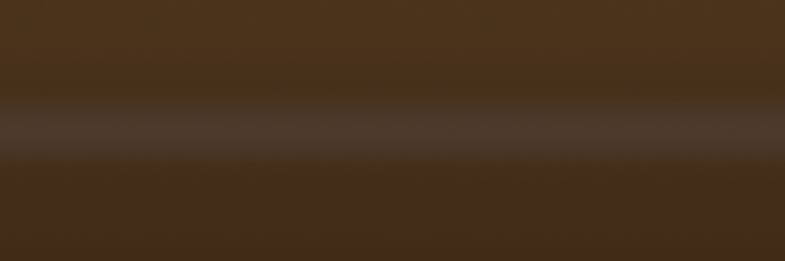 BMW Marakeshbraun Matte F31 color swatch