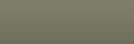 Dodge Power Tan P81 color swatch