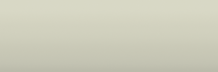 Eagle Scotia White PWJ color swatch