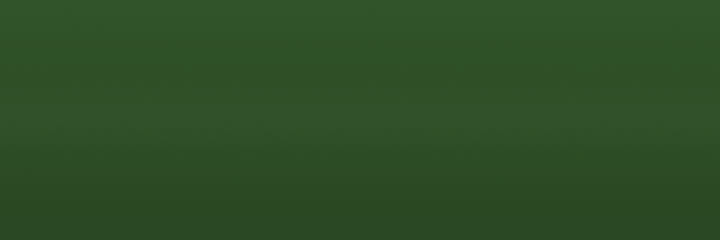Toyota Green 6K9 color swatch