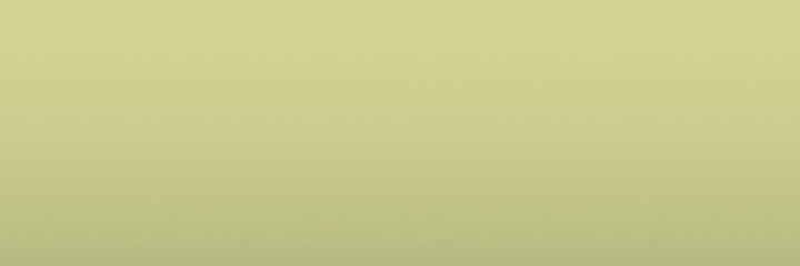 Volkswagen Limette L6J color swatch