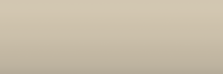 Suzuki Vanilla Beige ZG1 color swatch